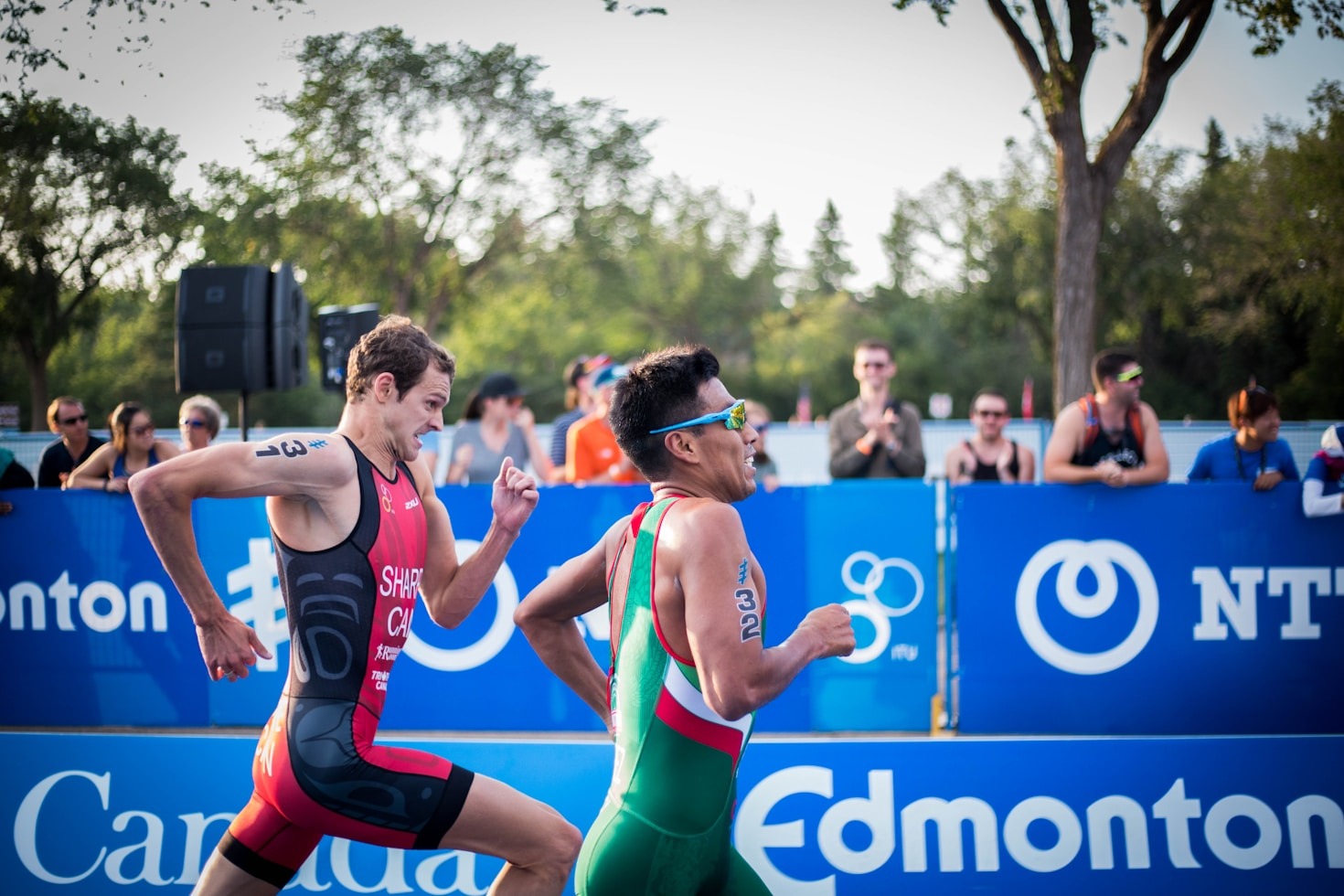 The Science Behind Triathlete-Specific Diet Plans